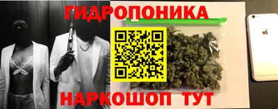 гидра Заволжье