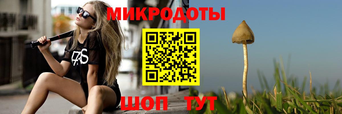 Галлюциногенные грибы прущие грибы Зима